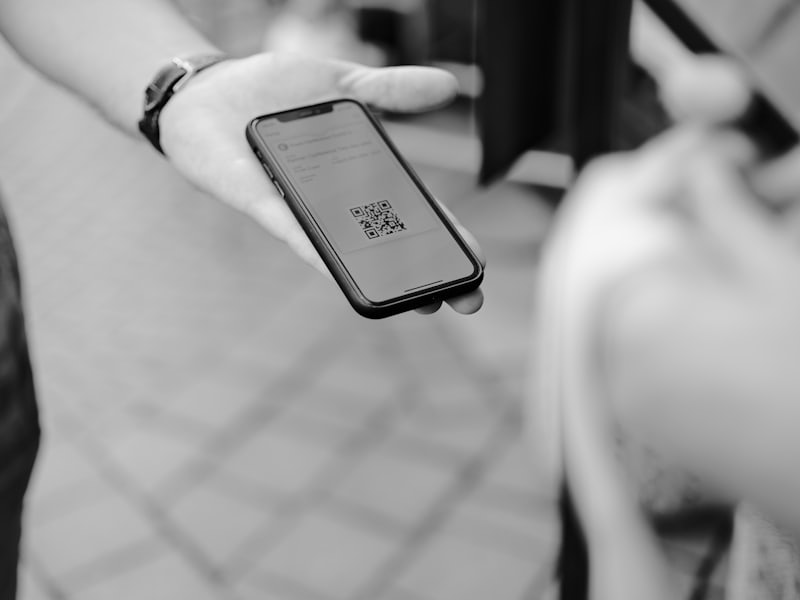 A visitor comparing pass options calmly on a phone